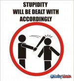 stupidity1.jpg