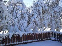 2012-02-05 11.53.46.jpg