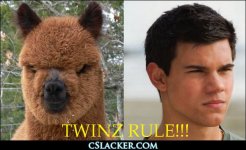 Twins.jpg