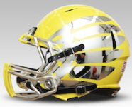 Liquid-Lightning-Oregon-Helmet-1.jpg