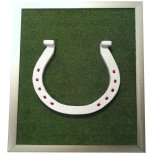 Horseshoe.JPG