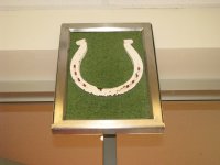 IMG_1164.JPG