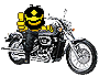 9683096584bb3fb93170881.gif