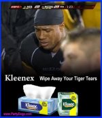 Crying Tiger.jpg