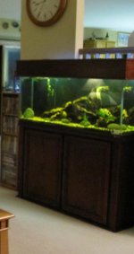 IMG_0069.JPG