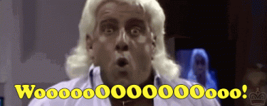 C13A7AD4-263F-44C8-93F0-1BB5C057F466.gif