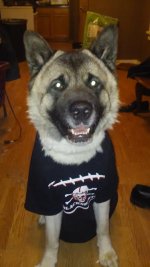ursa halloween.jpg