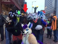 furryweirdo.jpg