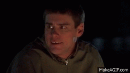 FragrantUnpleasantArmednylonshrimp-max-1mb.gif