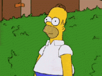 BE272442-9425-4E56-8301-7E959BA521FA.gif