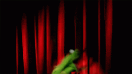 giphy (1).gif