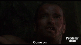 image.gif