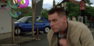 image.gif