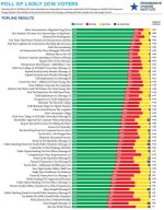 Where America Stands on Issues.jpg