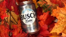 598a6fa7-b7fd-4136-9628-8a5bd48be725-large16x9_BuschLattejpg.jpg