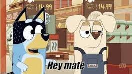 image.jpeg