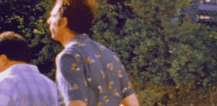 image.gif