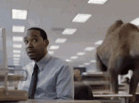 IMG_2302.gif