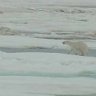 Polarhusker