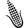 husker455
