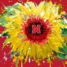 SunflowerHusker