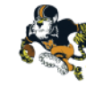 Tigerman550