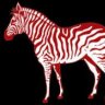 crouchingzebra
