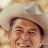 TheGipper