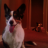 Walter Sobchak