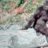 captain_sasquatch