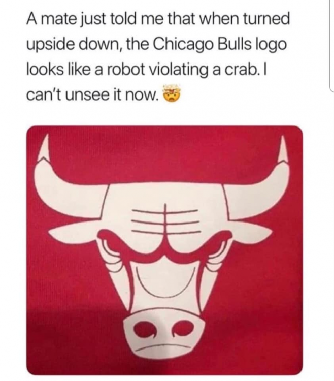 Bulls.png